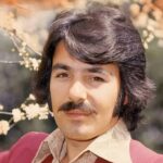 ferdi tayfur